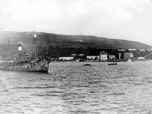 NORWEGIAN BAY BARGES 1950