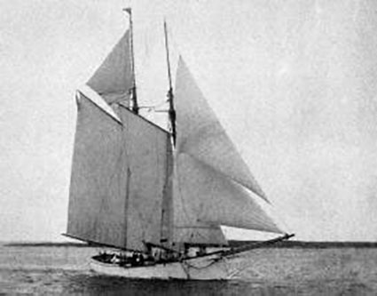 SEA FLOWER	1886-1923