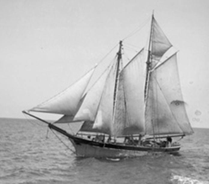 BAY 1909-1910