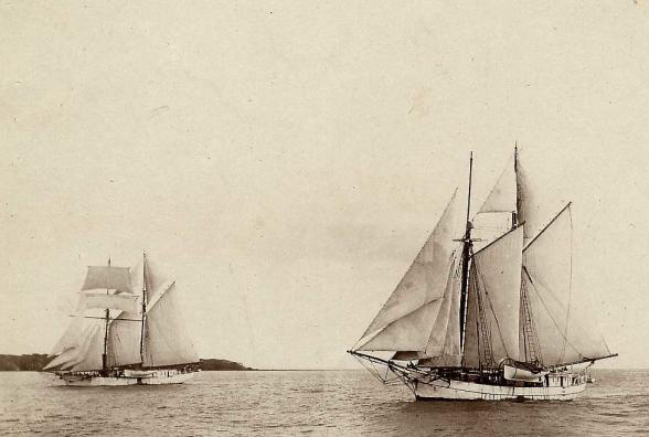WILD WAVE 1858-1875Two-masted Pearling Schooner