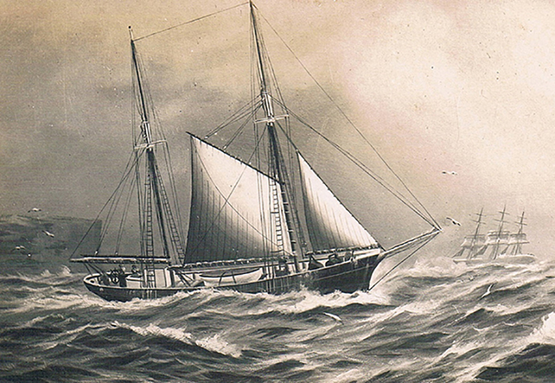 DUCHESS OF KENT (1875-1895)